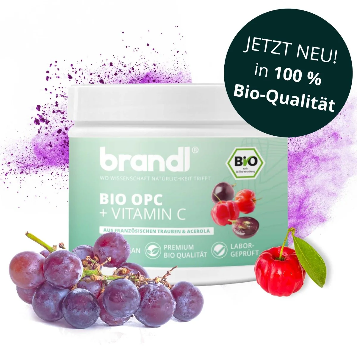 Brandl OPC + Vitamin C (hochdosiertes OPC aus Traubenkernextrakt) 120 Kapseln