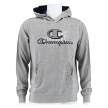 Champion Kapuzenpullover (Hoodie) Graphic Shop Logo grau Kinder