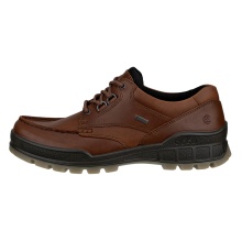 ECCO Wanderschuhe Track 25 Low GTX (Alltagschuhe, Leder, wasserdicht) dunkelbraun Herren