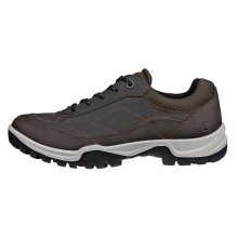 ECCO Wanderschuhe Xpedition III (Premium-Leder, wasserdicht) braun Herren