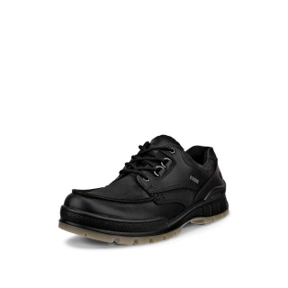 ECCO Wanderschuhe Track 25 Low GTX (Alltagschuhe, Vollnarbenleder, wasserdicht) schwarz Herren