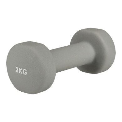 Endurance Kurzhantel Dumbbell grau 2kg - 1 Stück -