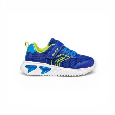 Geox Sneaker Assister blau/lime Jungen