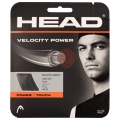 Head Tennissaite Velocity MLT Power (Power+Touch) schwarz 12m Set