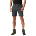 Helly Hansen Wanderhose Holmen 5 Pocket Short (UV-Schutz) kurz dunkelgrau Herren