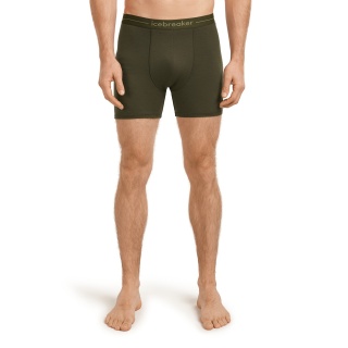 Icebreaker Boxershort Anatomica (Merinowolle) Unterwäsche loden dunkelgrün Herren