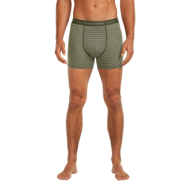 Icebreaker Boxershort Anatomica (Merinowolle) Unterwäsche lichen/lodengrün Herren