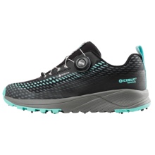 Icebug Winter-Trail-Laufschuhe NewRun BUGrip GTX (BOA® Fit System, wasserdicht, mit Spikes) schwarz/mistblau Damen