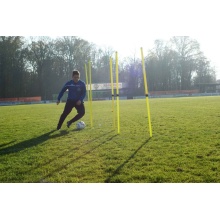 Powershot Slalomstange-Teleskop 5er Set (höhen verstellbar) 0,91m-1,72m gelb