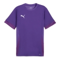 Puma Sport-Shirt teamGOAL Matchday Jersey violett Herren