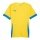 Puma Sport-Shirt teamGOAL Matchday Jersey gelb/blau Herren