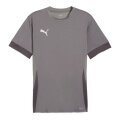 Puma Sport-Shirt teamGOAL Matchday Jersey grau Herren