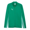 Puma Trainingsjacke teamLIGA26 Training Jacket (Full-Zip, 100% rec. Polyester, atmungsaktiv) grün Herren