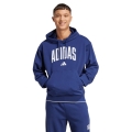 adidas Kapuzenpullover Collegiate Hoodie (Baumwollmix) blau Herren