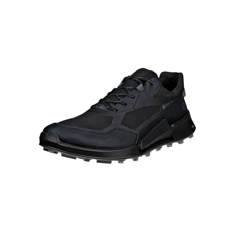 ECCO Wanderschuhe Biom 2.1 X Mountain GTX (Textil, wasserdicht) schwarz Herren