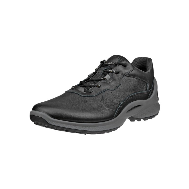 ECCO Sneaker Biom Energi (Premium Leder) schwarz/grau Herren