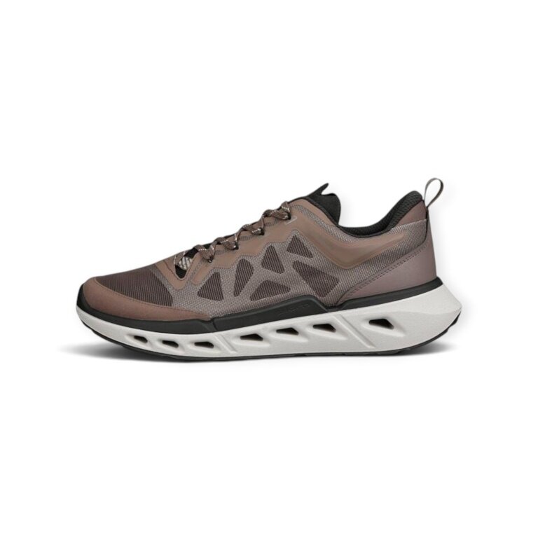 ECCO Sneaker Biom 720 braun Herren