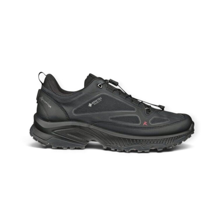ECCO Wanderschuhe Receptor XP GTX (Premium-Leder, wasserdicht) schwarz Herren