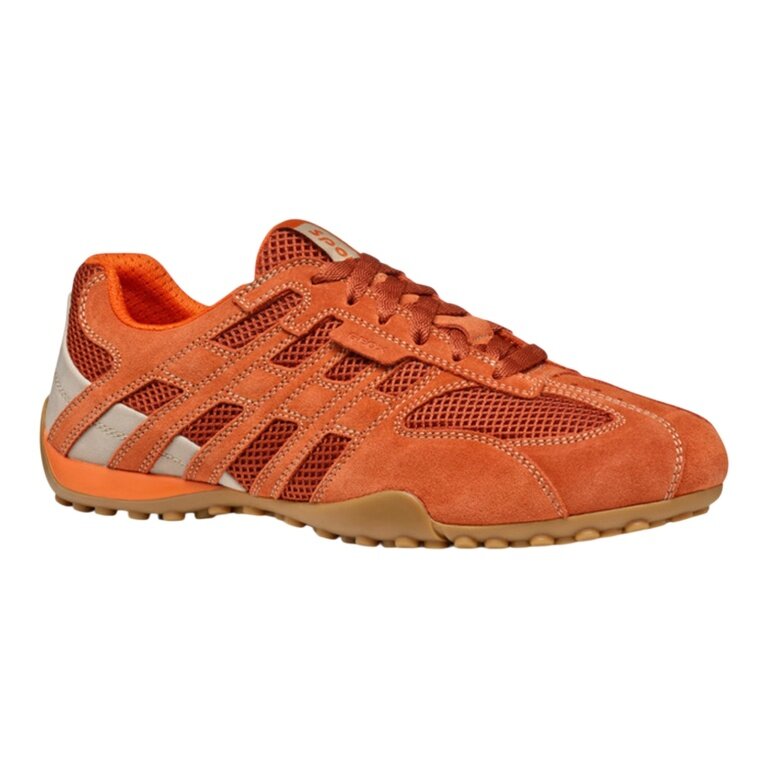 Geox Sneaker Snake Original A (Veloursleder/Synthetik) 2026 orange Herren