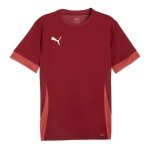 Puma Sport-Shirt teamGOAL Matchday Jersey weinrot Herren