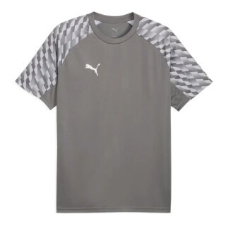 Puma Sport-Tshirt teamLIGA26 Jersey (100% rec. Polyester, atmungsaktiv) grau Herren
