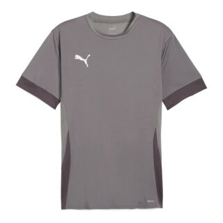 Puma Sport-Shirt teamGOAL Matchday Jersey grau Herren