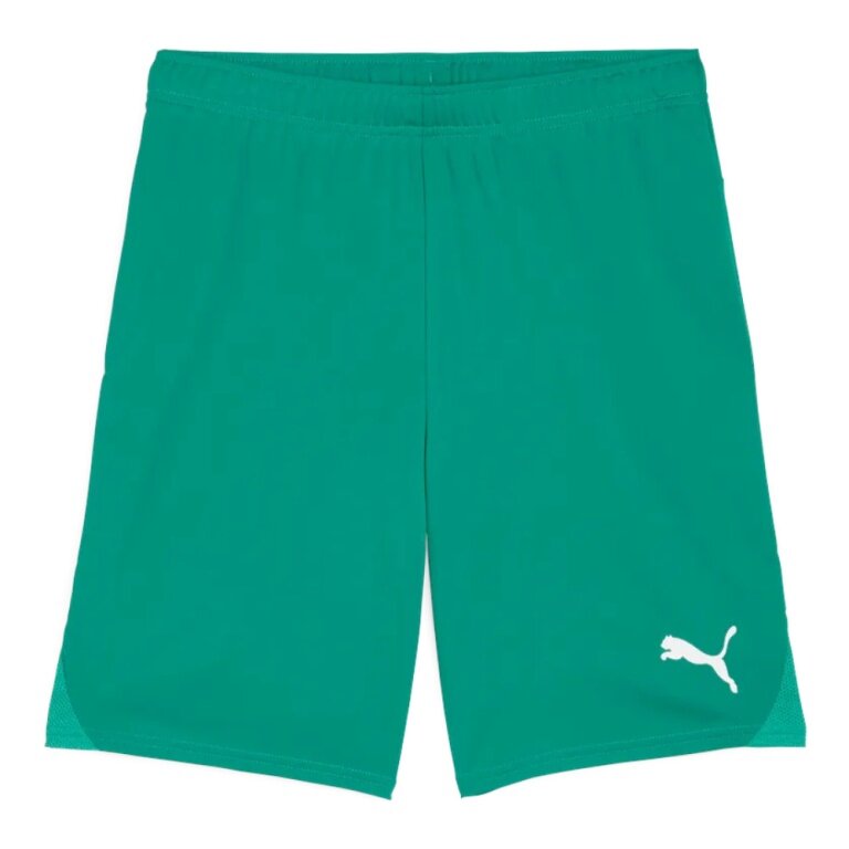 Puma Sporthose teamGOAL Shorts (100% rec. Polyester) kurz grün Herren