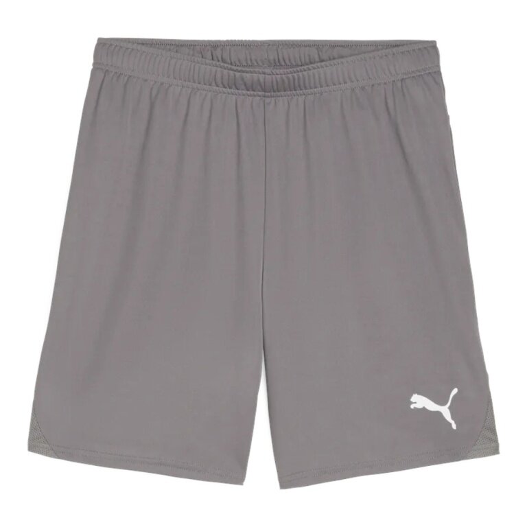 Puma Sporthose teamGOAL Shorts (100% rec. Polyester) kurz grau Herren