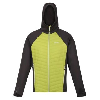 Regatta Hybridjacke Andreson VII (wasserabweisend, isolierend) grün Herren