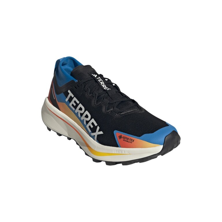 adidas Trail-Laufschuhe Terrex Agravic GTX (wasserdicht) schwarz/bunt Herren